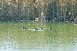 image2~1.jpg image2~1.jpg