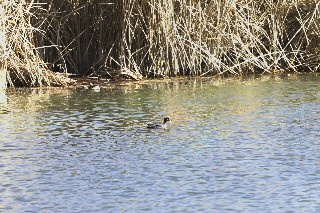 image3~1.jpg image3~1.jpg